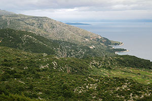 Napoleon Tour